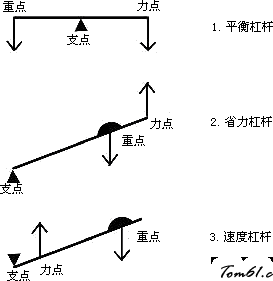 人身上的杠杆图片3