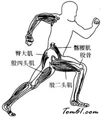 人身上的杠杆图片2