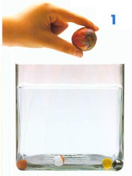 物体的上浮与下沉实验图片2 物体的上浮与下沉实验图片2