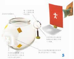 探究眼睛的秘密图片6 探究眼睛的秘密图片6