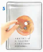 物体的上浮与下沉实验图片6 物体的上浮与下沉实验图片6