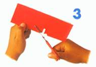 探究眼睛的秘密图片4 探究眼睛的秘密图片4