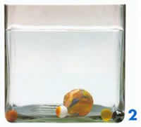 物体的上浮与下沉实验图片3 物体的上浮与下沉实验图片3