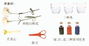 神奇的变色花图片1