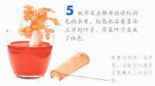 神奇的变色花图片6