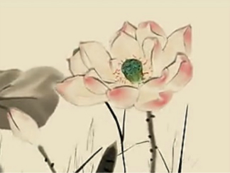 环球数码精品集