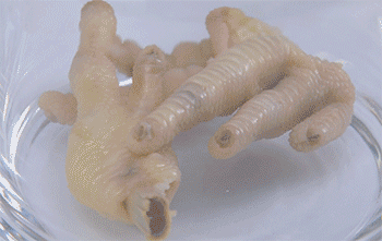 【泡椒凤爪】泡