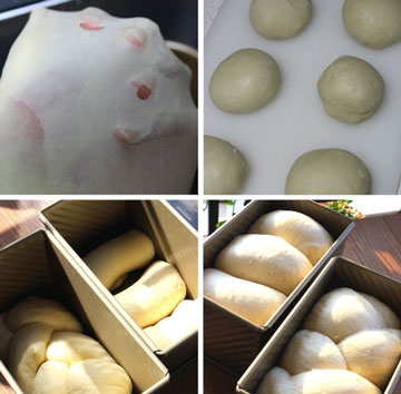 豆浆吐司的做法，如何用豆浆做好吃的吐司图片2