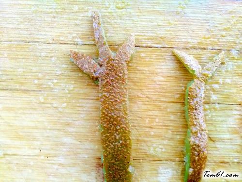 【趣味童话水果拼盘。】