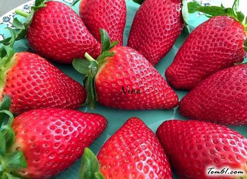 【脆皮巧克力草莓】