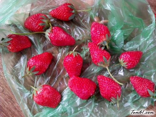 【冻草莓】