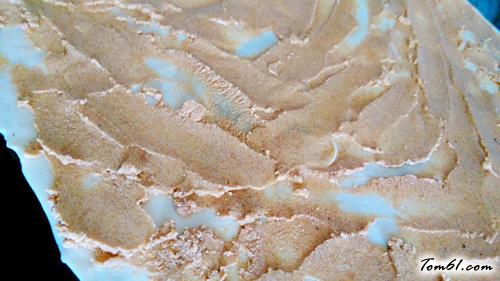 【红豆泥酥饼】