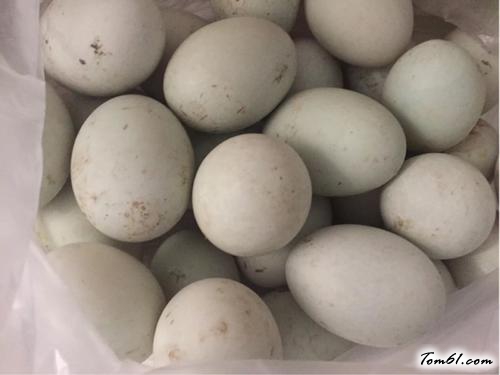 【自制咸鸭蛋】