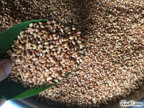 【蛋黄鲜肉粽】