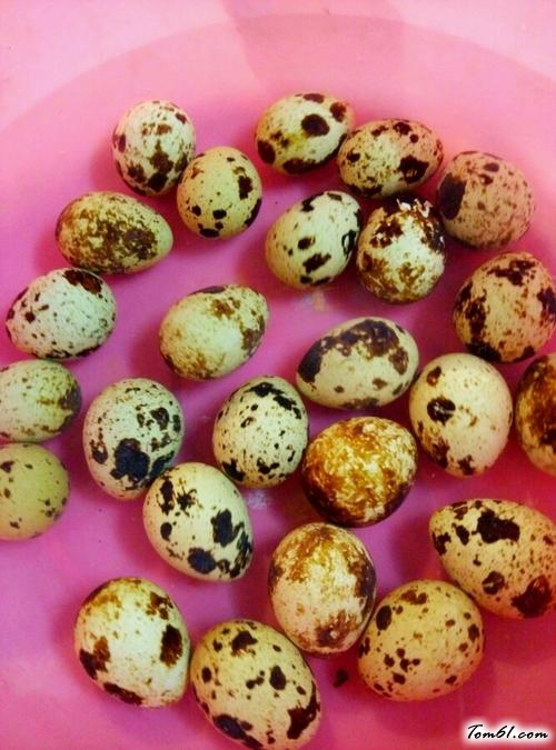 【圣女果鸽子蛋创意小蘑菇】