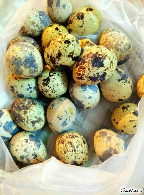 【圣女果鸽子蛋创意小蘑菇】