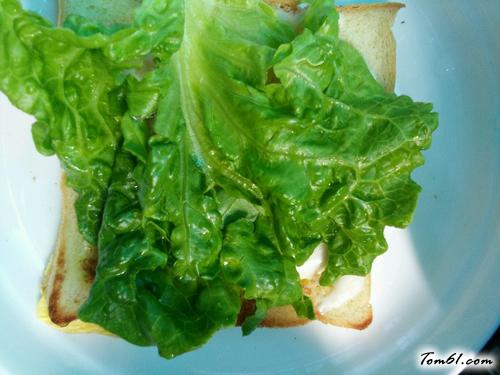 【煎鸡蛋吐司】