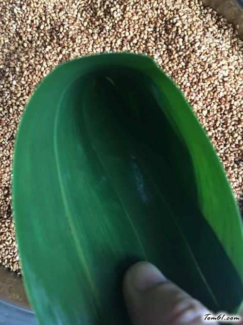 【蛋黄鲜肉粽】