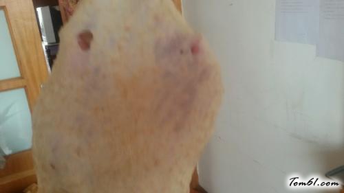 【低糖全麦面包】