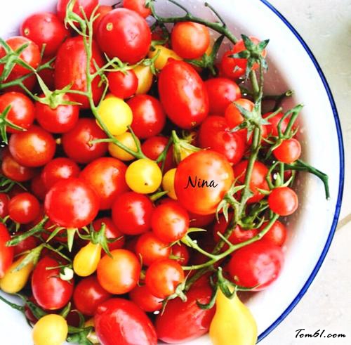 【圣女果鹰嘴豆泥色拉】