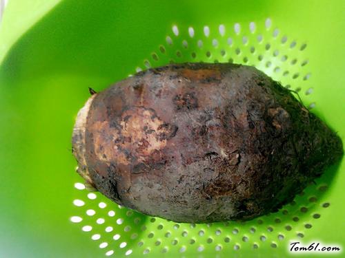 【香煎芋头饼】