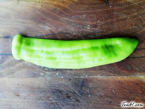 【卡通猫头鹰】