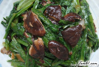 香菇豆豉油麦菜，很简单地下饭素菜