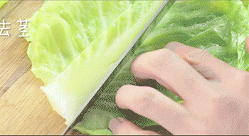 【包菜肉卷】切白菜