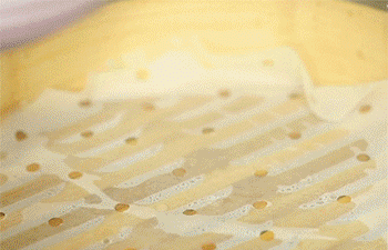 【紫金凤爪】蒸鸡爪