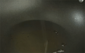 【鲍汁菇片】热锅起油