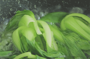 【煲仔饭】油菜