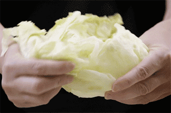 【酱油炒饭】撕白菜