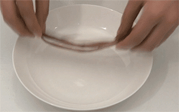 【茶树菇老鸭汤】茶树菇