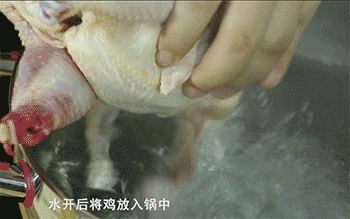 【白斩鸡】炖鸡