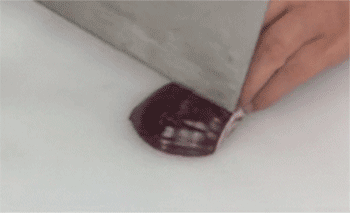 【番茄牛腩】切洋葱