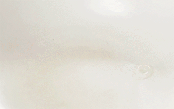 【重庆辣子鸡】倒入鸡块