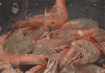 【油焖大虾】倒入料酒