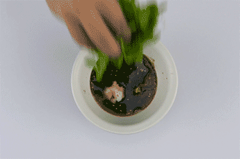 【酸辣粉】放豌豆苗