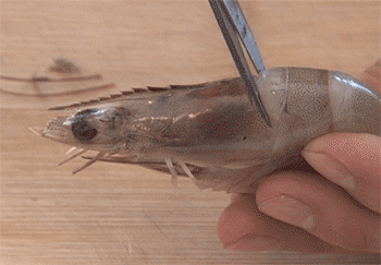 【油焖大虾】剪虾