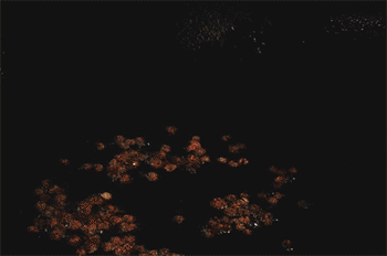 【溜肥肠】炒肥肠