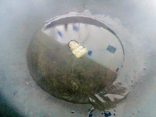 【双椒炒鸡心】