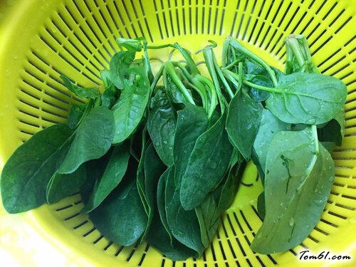 【手撕鸡丝爽口菜】