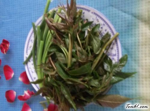 【凉拌香椿芽】