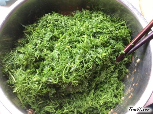 【茴香苗素水饺】