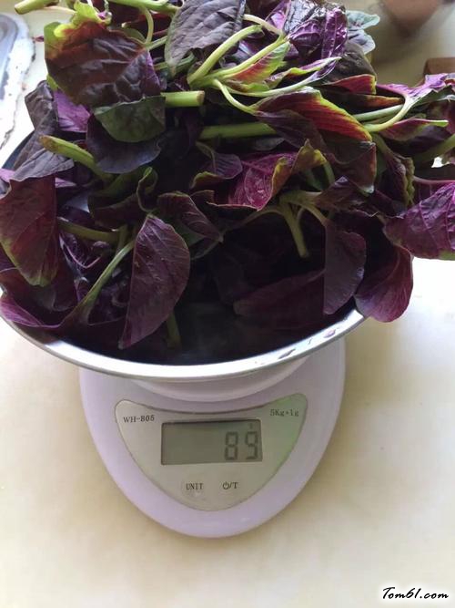 【苋菜拌饭】