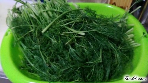 【猪肉茴香馅包子】