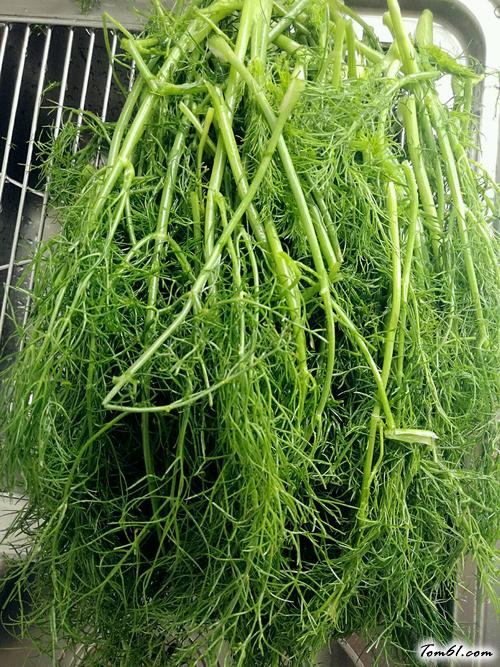 【茴香馅蝴蝶花式蒸饺】