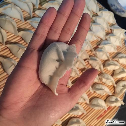 【芹菜羊肉饺子】