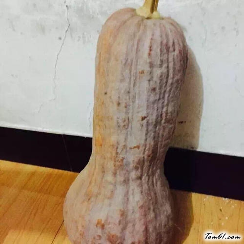 【天然彩色牛奶馒头】