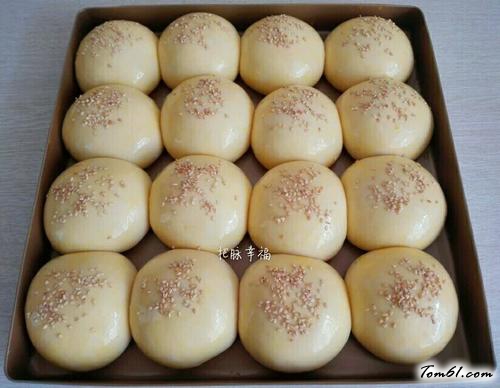 【小餐包（一次发酵）】